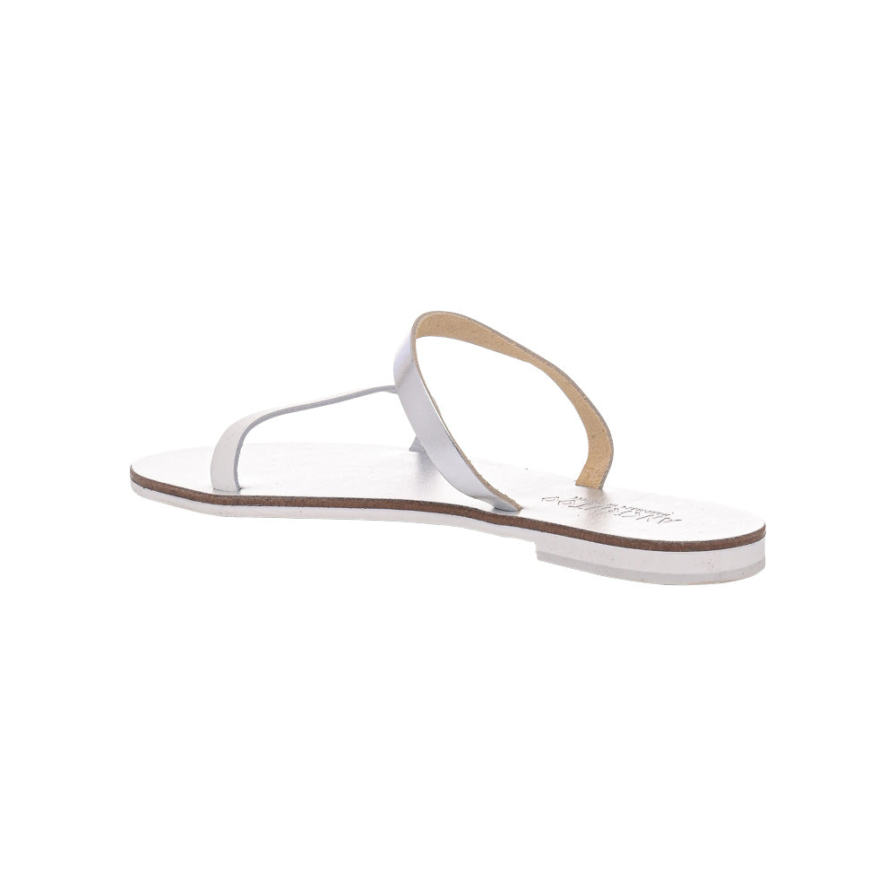 Ancientoo Slides Clio by Ancientoo