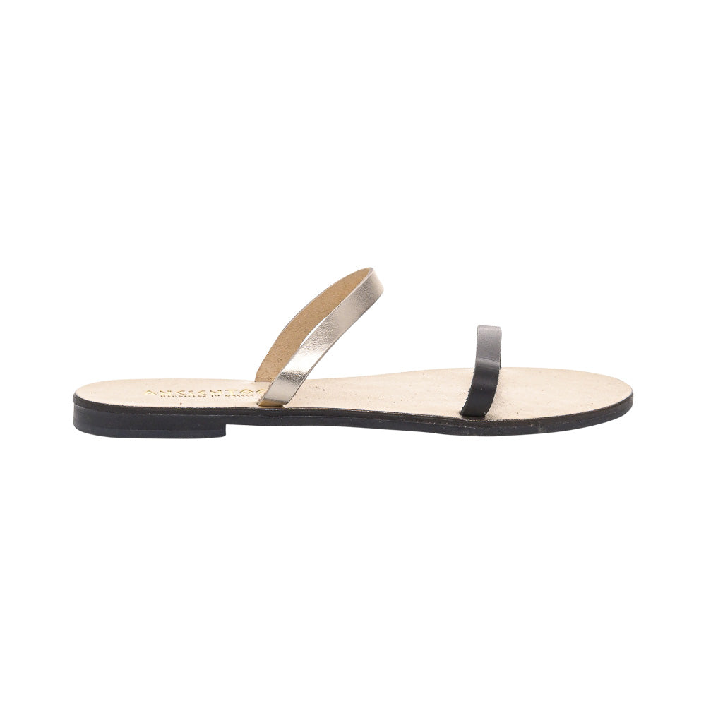 Ancientoo Slides Clio by Ancientoo