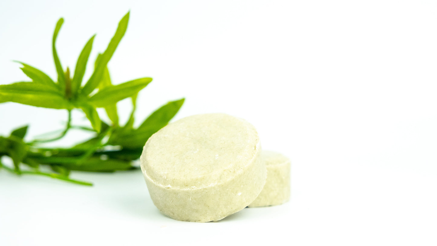Mint Nettle Leaf Shampoo Bar by NaturalAmor