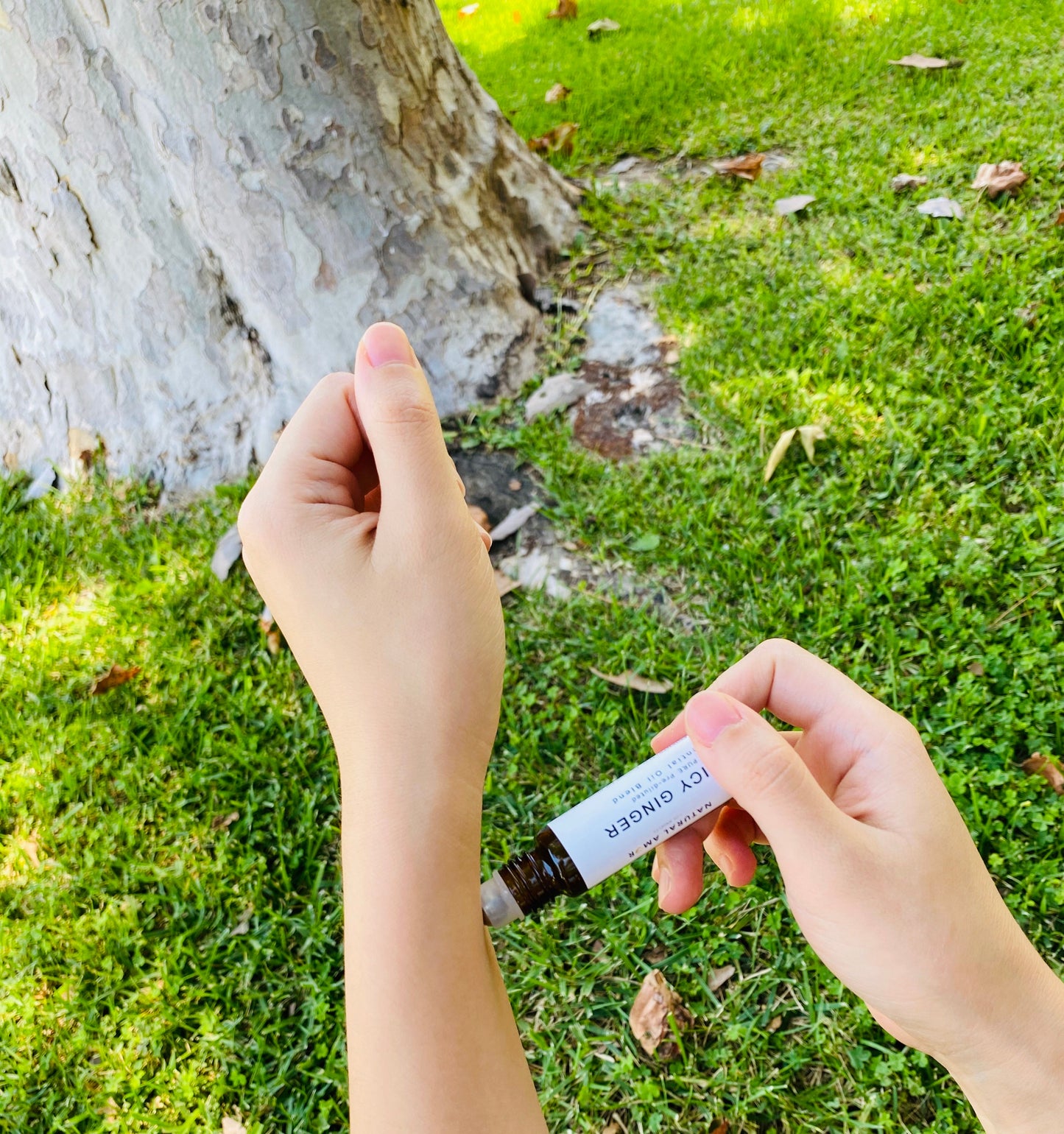 Chill Mojito Essential Oil | Chilli Mojito Oil | NaturalAmor