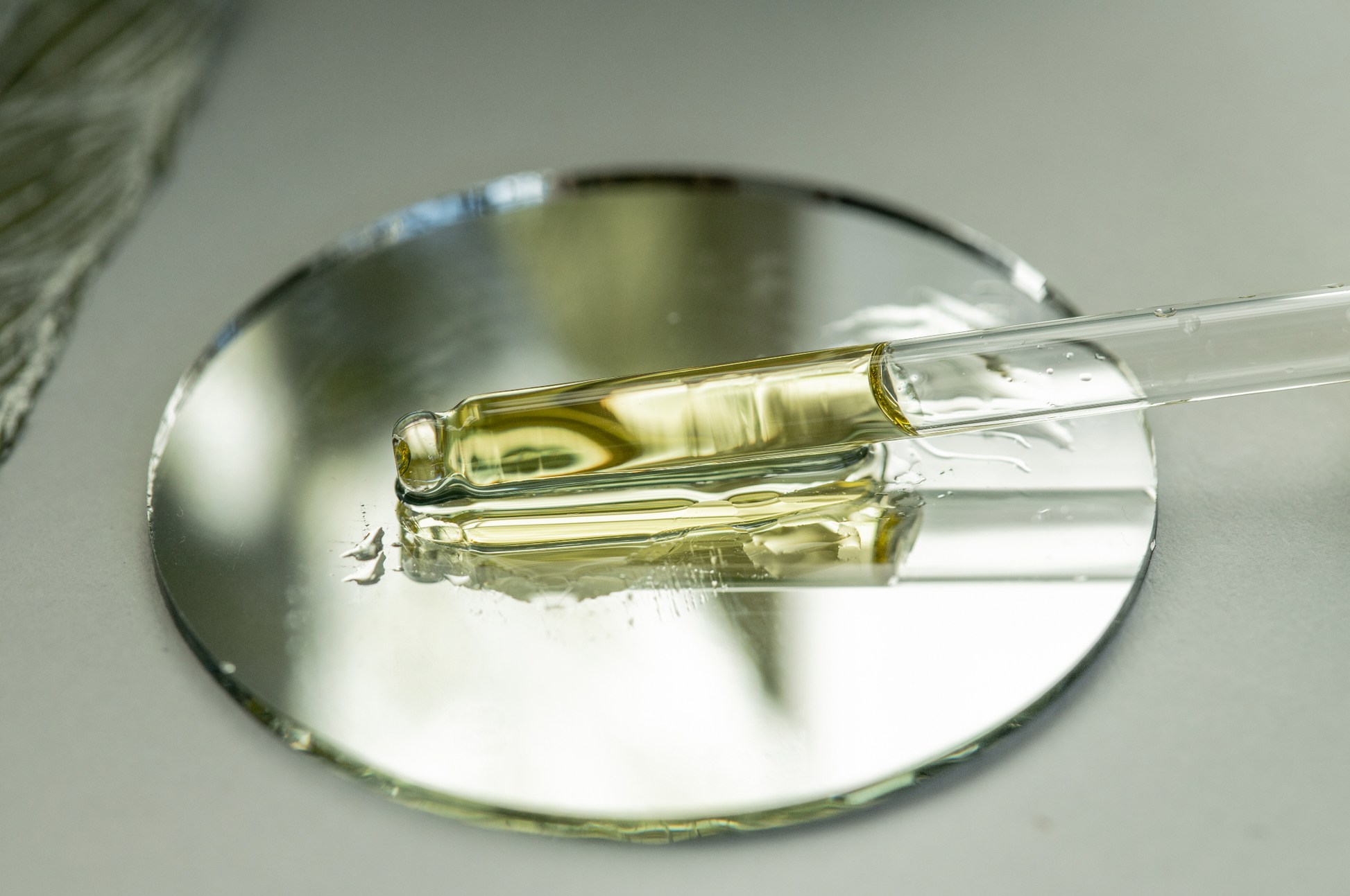artistic image of cucumber arnica eye serum